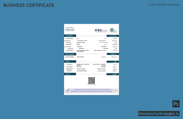 Beispiel einer Handelslizenz für Dubai in den VAE (Word- und PDF-Datei)